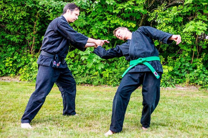 ninpo-goshinjutsu-hallifornia