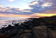 Summer Arising – back to the roots