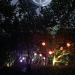 Hallifornia_Arising_CF3716