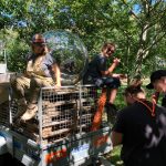 Hallifornia_Arising_D9072AC1